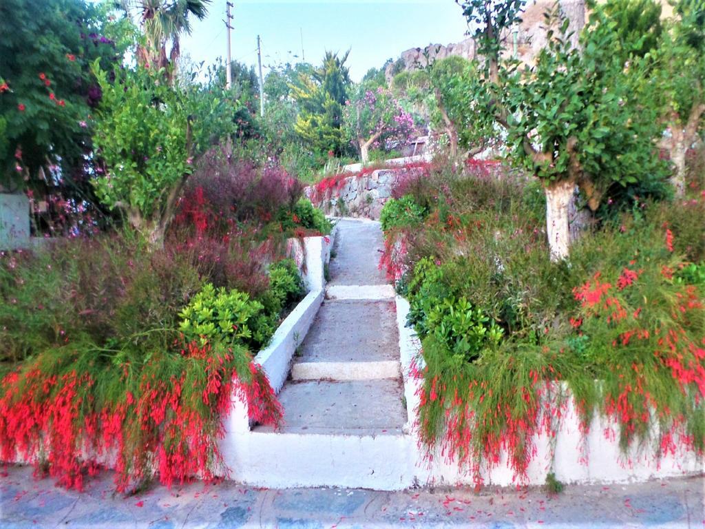 Villa Sunset Mavi à Turgutreis Extérieur photo
