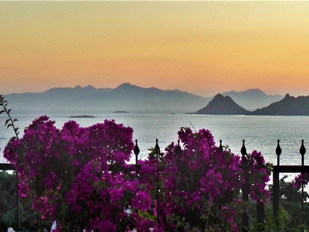 Villa Sunset Mavi à Turgutreis Extérieur photo