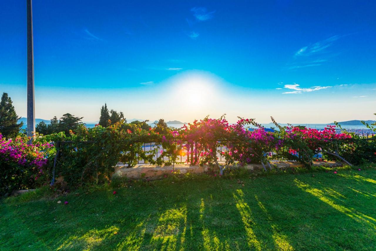 Villa Sunset Mavi à Turgutreis Extérieur photo